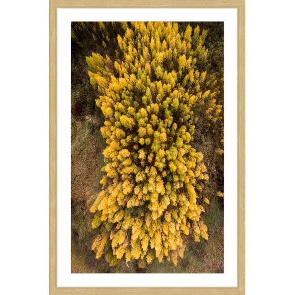 Marmont Hill "Yellow Flora" by Karolis Janulis Framed Painting Art Print