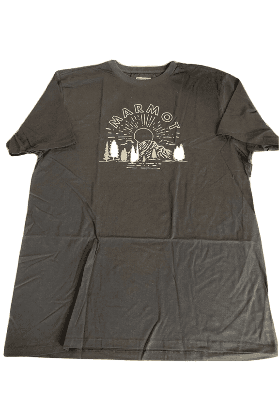 Mens Organic Cotton Shine Logo Tee in Pacific Sleet Blue-XL