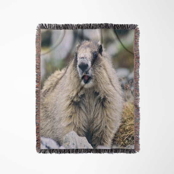 Marmot Wildlife, Denali National Park, Alaska - Us02 Hga0168 - Howie Garber, Woven Blanket