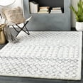 thumbnail image 1 of Maroc Shag Medium Gray 2' x 3' Global Rectangle Area Rug, 1 of 6