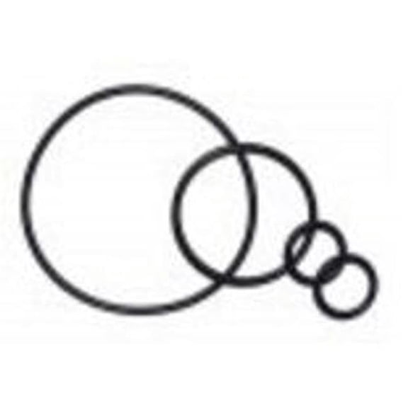 Marquis Spas 320-6207 2 & 1 in. O-Ring Kit with Includes 2 Stem