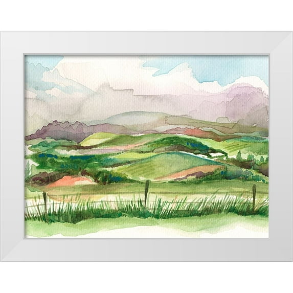 Marr, Laura 24x19 White Modern Wood Framed Museum Art Print Titled - Bennachie Rain II