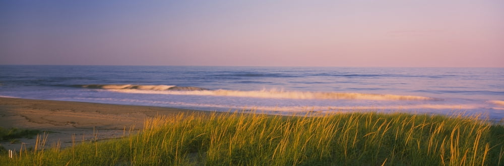 Marram grass on the beach Parker River National Wildlife Refuge Newbury Massachusetts USA Canvas Art - Panoramic Images (27 x 9)