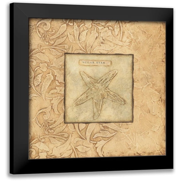 Marrott, Stephanie 12x12 Black Modern Framed Museum Art Print Titled - Sugar Star