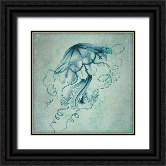 Marrott, Stephanie 12x12 Black Ornate Wood Framed with Double Matting Museum Art Print Titled - Jelly Fish III