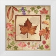 thumbnail image 1 of Marrott, Stephanie 12x12 White Modern Wood Framed Museum Art Print Titled - Maple of Fall 1, 1 of 4