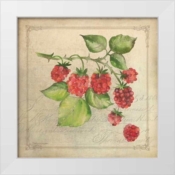 Marrott, Stephanie 12x12 White Modern Wood Framed Museum Art Print Titled - Rasberry Collage