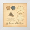 thumbnail image 1 of Marrott, Stephanie 12x12 White Modern Wood Framed Museum Art Print Titled - Sand Dollars, 1 of 4