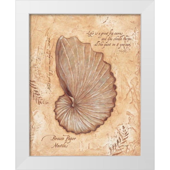 Marrott, Stephanie 12x14 White Modern Wood Framed Museum Art Print Titled - Brown Paper Nautilis