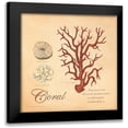 thumbnail image 1 of Marrott, Stephanie 15x15 Black Modern Framed Museum Art Print Titled - Coral, 1 of 5