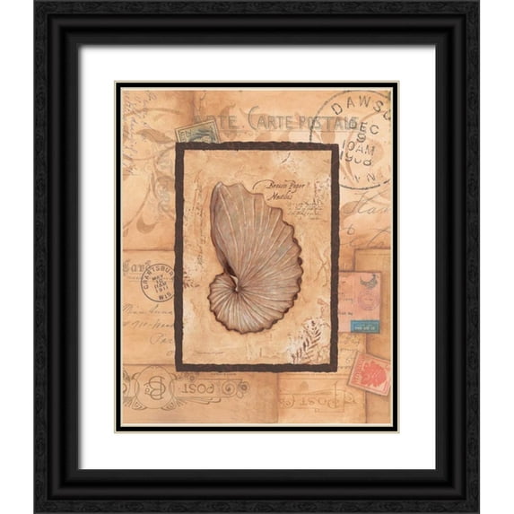 Marrott, Stephanie 15x18 Black Ornate Wood Framed with Double Matting Museum Art Print Titled - Nautilus