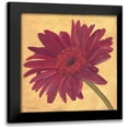 thumbnail image 1 of Marrott, Stephanie 20x20 Black Modern Framed Museum Art Print Titled - Gerber III, 1 of 5