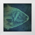 thumbnail image 1 of Marrott, Stephanie 20x20 White Modern Wood Framed Museum Art Print Titled - Fish I, 1 of 4
