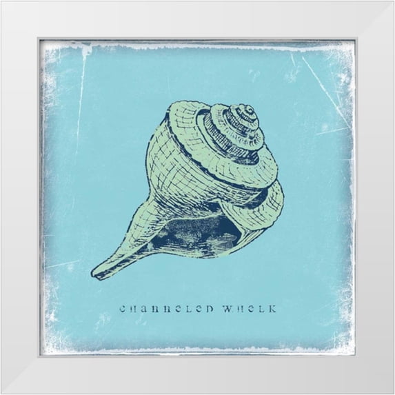 Marrott, Stephanie 20x20 White Modern Wood Framed Museum Art Print Titled - Whelk