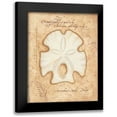 thumbnail image 1 of Marrott, Stephanie 20x24 Black Modern Framed Museum Art Print Titled - Arrowhead Sand Dollar, 1 of 5