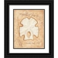 thumbnail image 1 of Marrott, Stephanie 20x24 Black Ornate Wood Framed with Double Matting Museum Art Print Titled - Arrowhead Sand Dollar, 1 of 4
