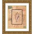 thumbnail image 1 of Marrott, Stephanie 20x24 Gold Ornate Wood Framed with Double Matting Museum Art Print Titled - Wonder Shell, 1 of 4