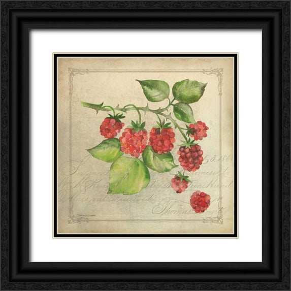 Marrott, Stephanie 26x26 Black Ornate Wood Framed with Double Matting Museum Art Print Titled - Rasberry Collage
