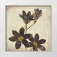 thumbnail image 1 of Marrott, Stephanie 26x26 White Modern Wood Framed Museum Art Print Titled - Purple Flower, 1 of 4