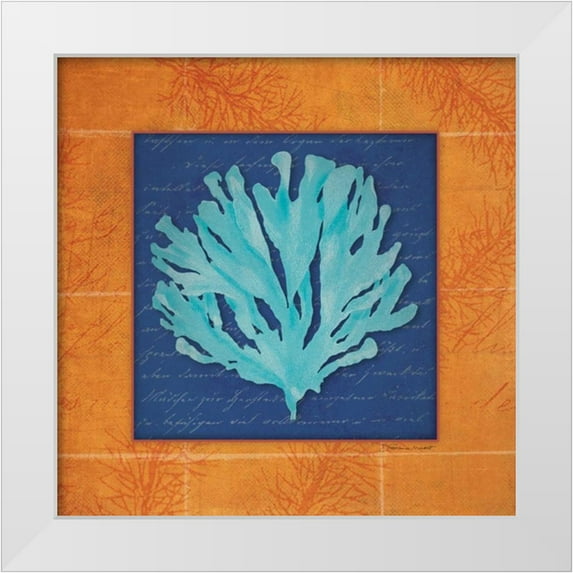 Marrott, Stephanie 26x26 White Modern Wood Framed Museum Art Print Titled - Seaweed