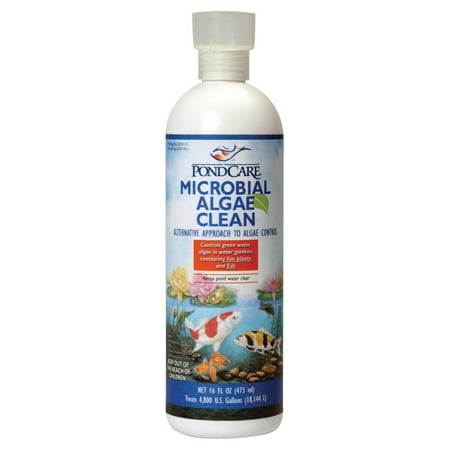 API PONDCARE MICROBIAL ALGAE CLEAN Biological Inhibitor of Green Water, Alternative approach to algae control, 16-Ounce Bottle
