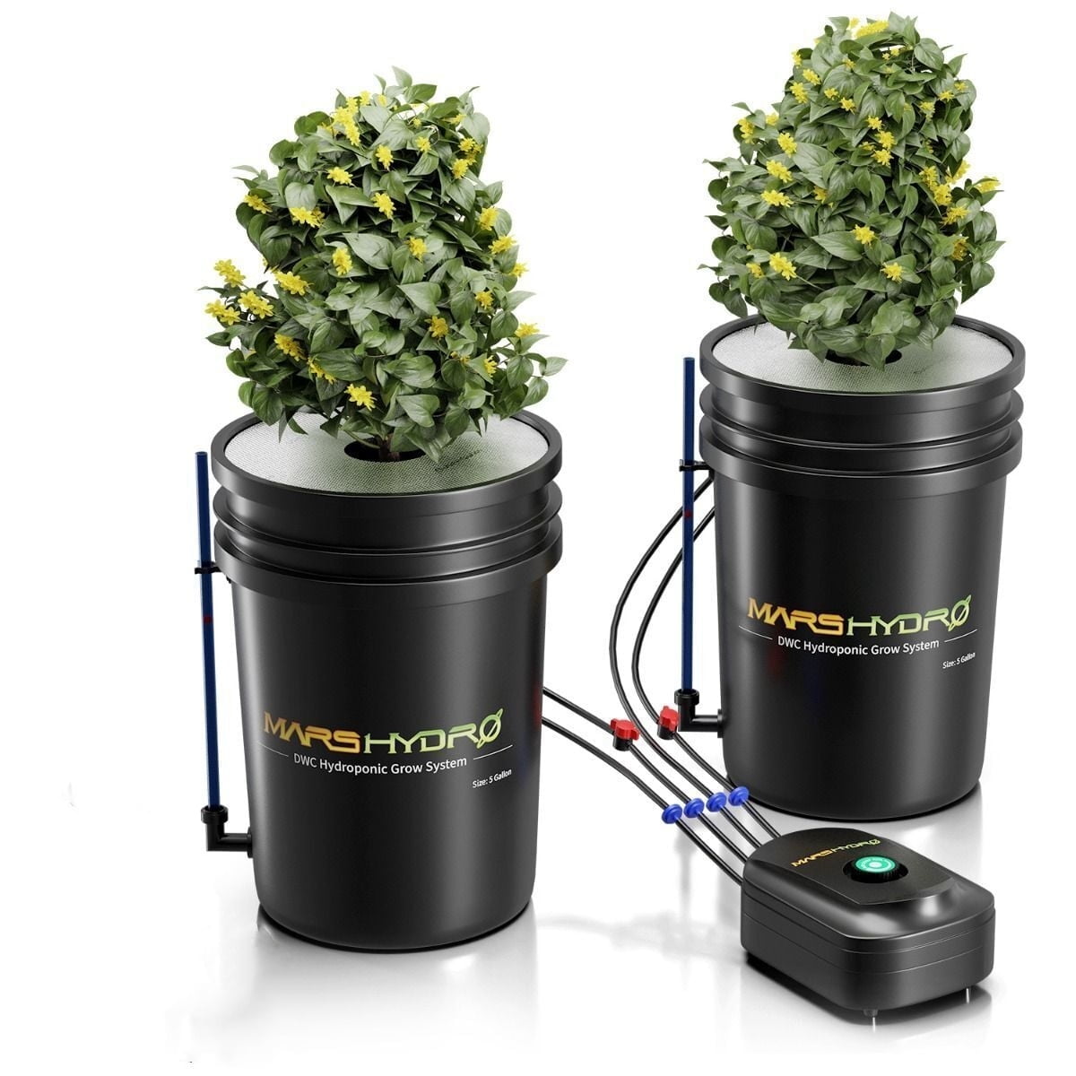 Mars Hydro 5-Gallon DWC Hydroponic System Grow Kits with 2 Buckets 8W Air Pump