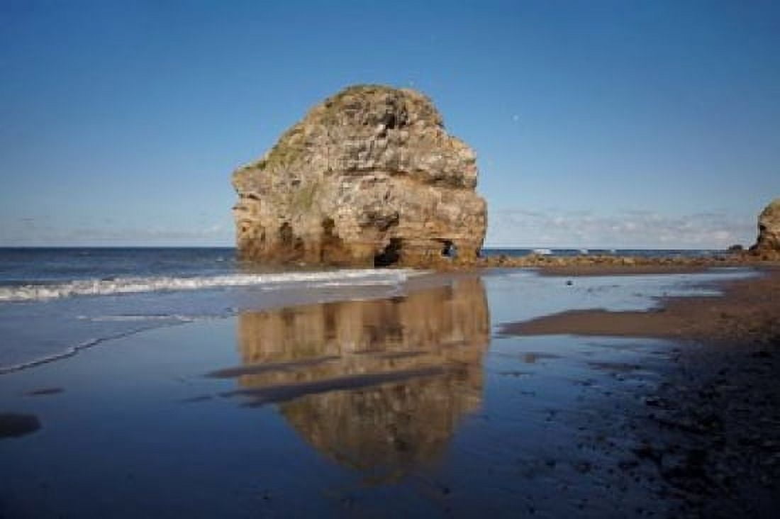 Marsden Rock South Shields South Tyneside England Canvas Art - David Wall DanitaDelimont (38 x 25)