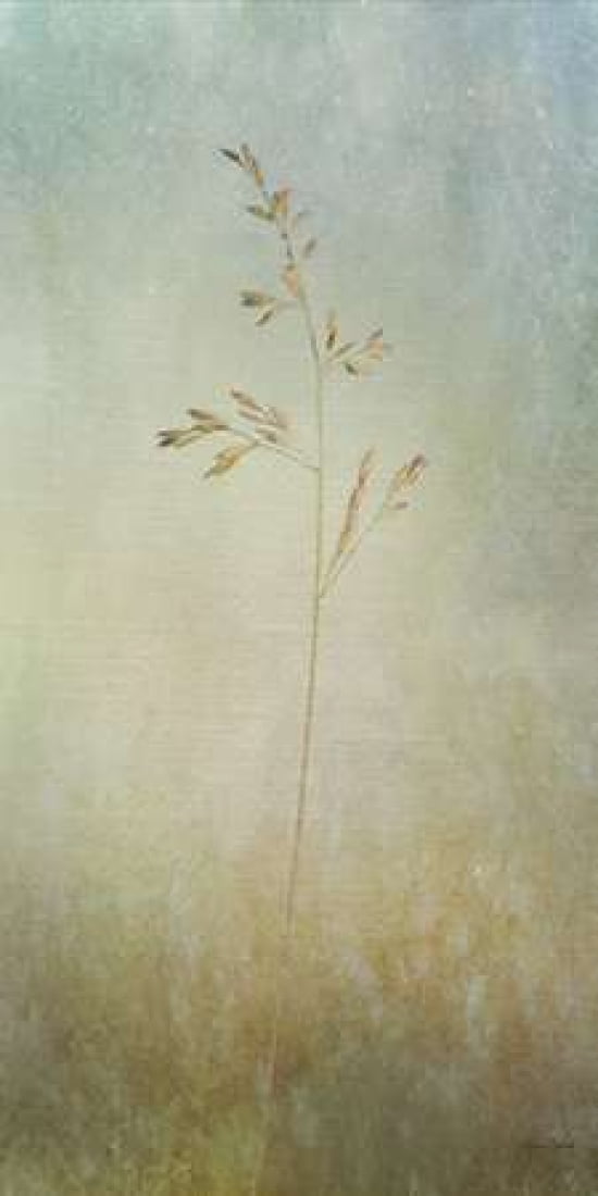 Marsh Grass II Canvas Art - Ramona Murdock (10 x 20)