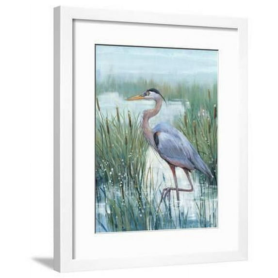 Marsh Heron II, Animals Framed Art Print Wall Art by Tim O'toole Sold by Art.Com
