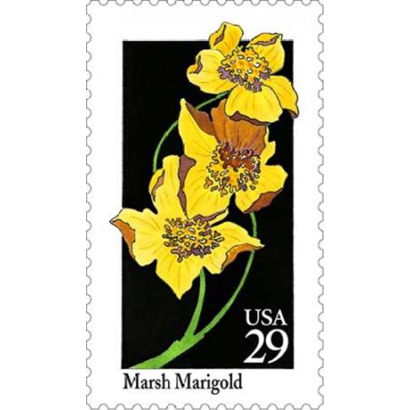 Marsh Marigold Canvas Art - US POSTAL SERVICE (24 x 36)
