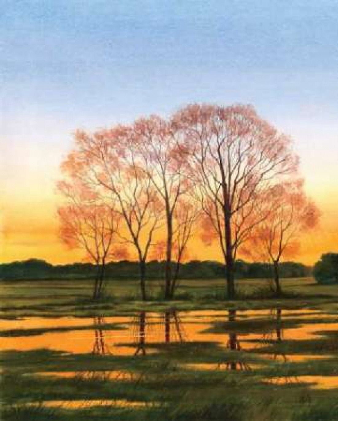 Marsh at Dusk I Canvas Art - William Duke (24 x 30)