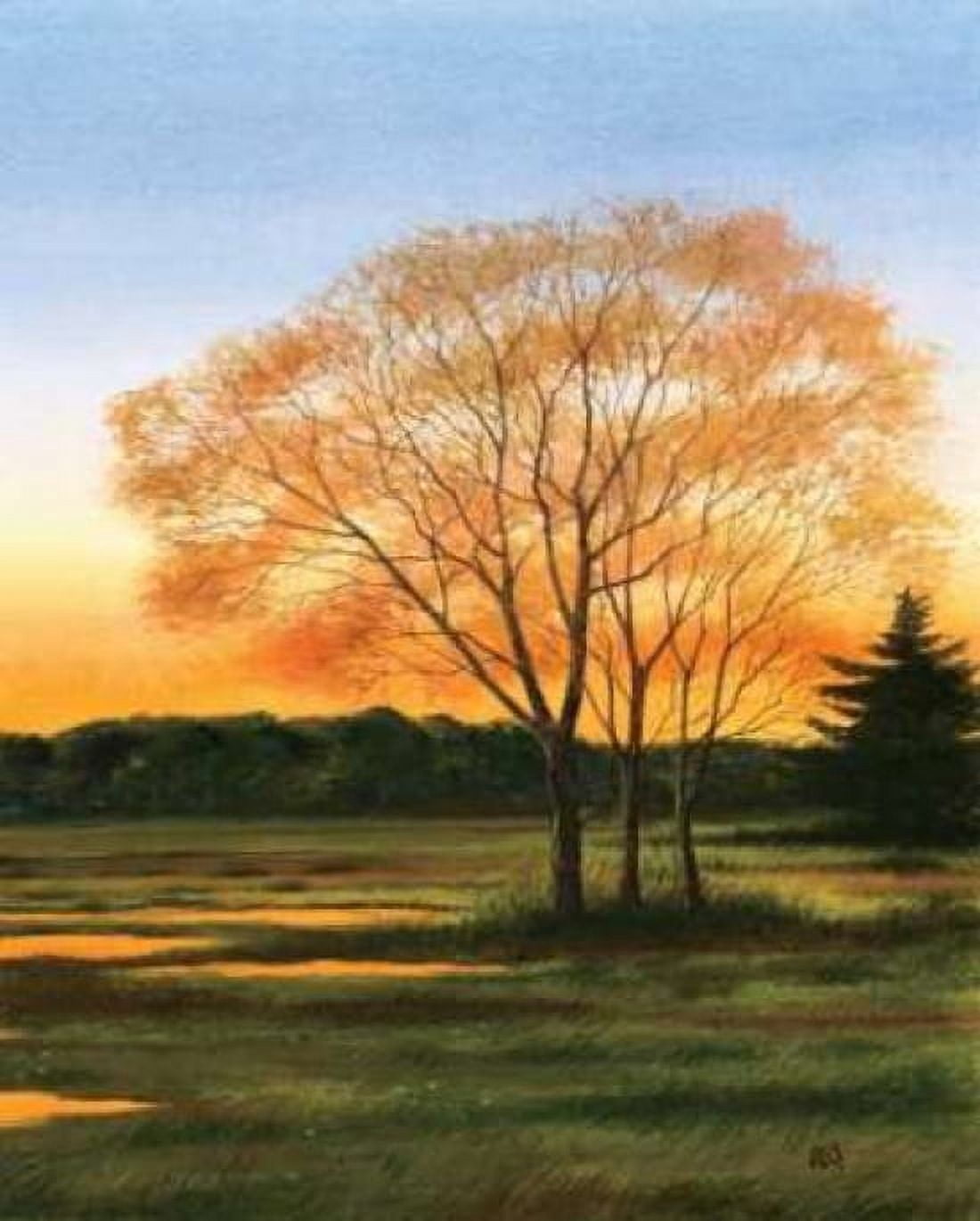 Marsh at Dusk II Canvas Art - William Duke (24 x 30)