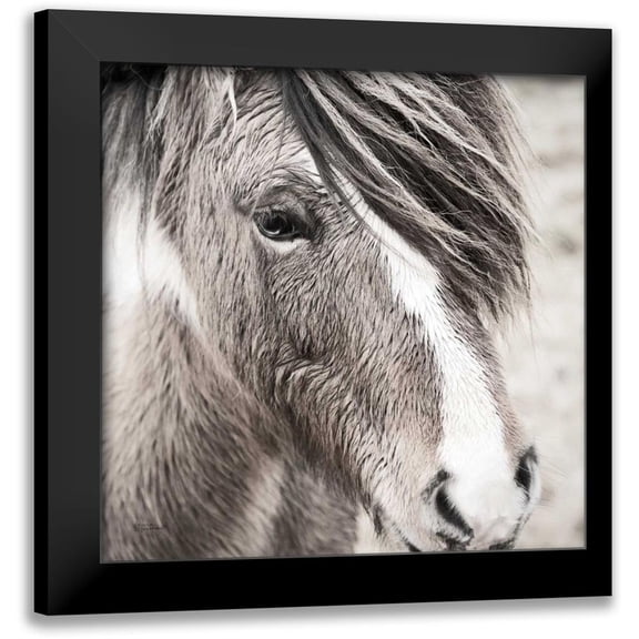 Marshall, Laura 12x12 Black Modern Framed Museum Art Print Titled - Elska III BW