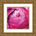 thumbnail image 1 of Marshall, Laura 12x12 Gold Ornate Wood Framed with Double Matting Museum Art Print Titled - Ranunculus Abstract III Color, 1 of 4