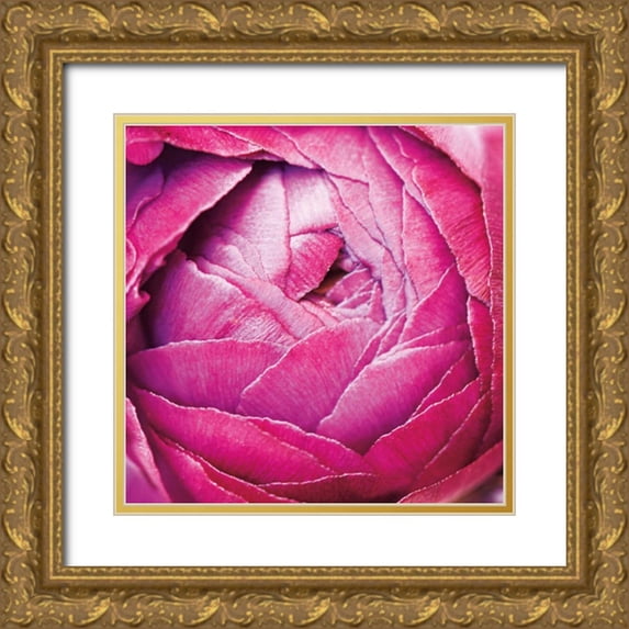 Marshall, Laura 12x12 Gold Ornate Wood Framed with Double Matting Museum Art Print Titled - Ranunculus Abstract III Color