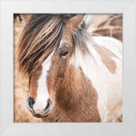 Marshall, Laura 12x12 White Modern Wood Framed Museum Art Print Titled - Elska IV