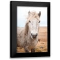 thumbnail image 1 of Marshall, Laura 13x18 Black Modern Framed Museum Art Print Titled - Heida I, 1 of 5