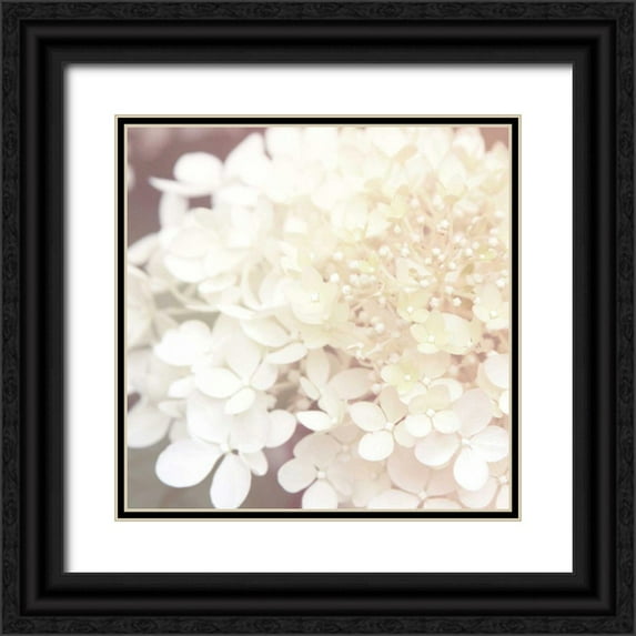 Marshall, Laura 15x15 Black Ornate Wood Framed with Double Matting Museum Art Print Titled - Hydrangea Dream II