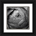 thumbnail image 1 of Marshall, Laura 15x15 Black Ornate Wood Framed with Double Matting Museum Art Print Titled - Ranunculus Abstract III BW, 1 of 4