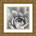 thumbnail image 1 of Marshall, Laura 15x15 Gold Ornate Wood Framed with Double Matting Museum Art Print Titled - Garden Succulent III, 1 of 4