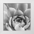 thumbnail image 1 of Marshall, Laura 15x15 White Modern Wood Framed Museum Art Print Titled - Garden Succulent III, 1 of 4
