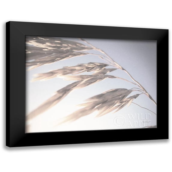 Marshall, Laura 18x15 Black Modern Framed Museum Art Print Titled - Windy Wheat Fields II Light