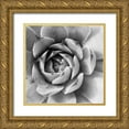thumbnail image 1 of Marshall, Laura 20x20 Gold Ornate Wood Framed with Double Matting Museum Art Print Titled - Garden Succulent II, 1 of 4