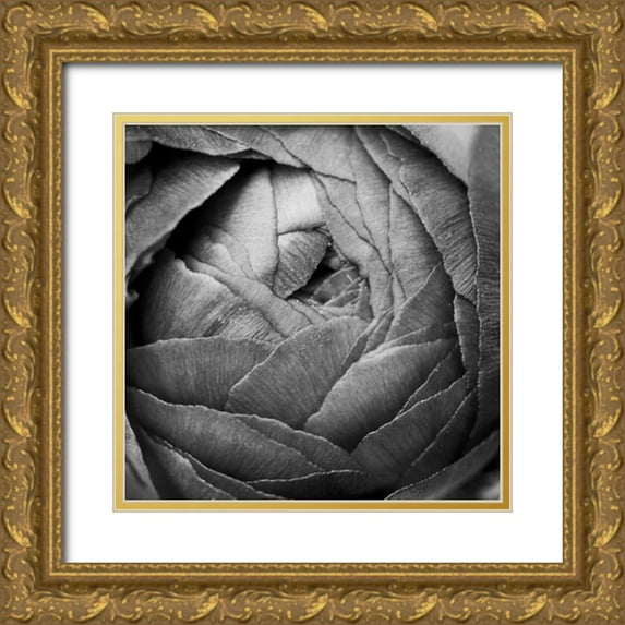 Marshall, Laura 20x20 Gold Ornate Wood Framed with Double Matting Museum Art Print Titled - Ranunculus Abstract III BW