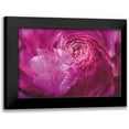 thumbnail image 1 of Marshall, Laura 24x17 Black Modern Framed Museum Art Print Titled - Ranunculus Abstract V Color, 1 of 5