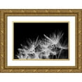 thumbnail image 1 of Marshall, Laura 24x17 Gold Ornate Wood Framed with Double Matting Museum Art Print Titled - Dandelion Dewdrops II, 1 of 4