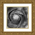 thumbnail image 1 of Marshall, Laura 26x26 Gold Ornate Wood Framed with Double Matting Museum Art Print Titled - Ranunculus Abstract I BW, 1 of 4