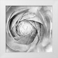 thumbnail image 1 of Marshall, Laura 26x26 White Modern Wood Framed Museum Art Print Titled - Ranunculus Abstract I BW Light, 1 of 4