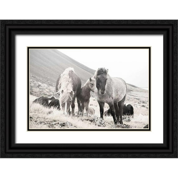 Marshall, Laura 32x23 Black Ornate Wood Framed with Double Matting Museum Art Print Titled - Horses of Hofn I BW