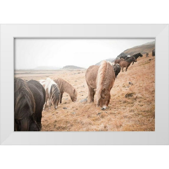 Marshall, Laura 32x23 White Modern Wood Framed Museum Art Print Titled - Horses of Hofn II